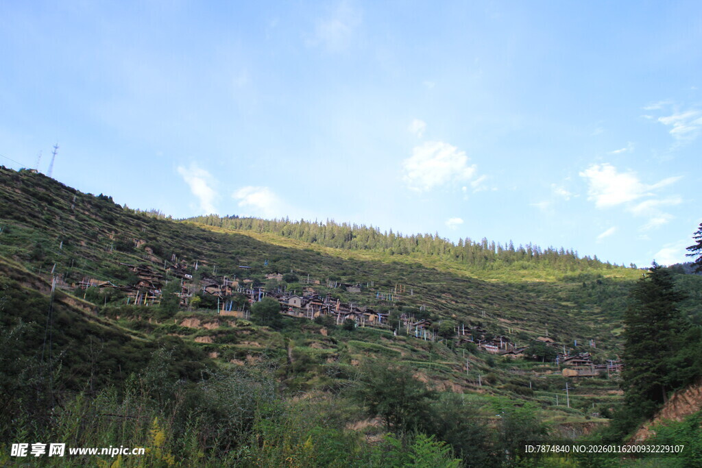 山坡绿意风景图