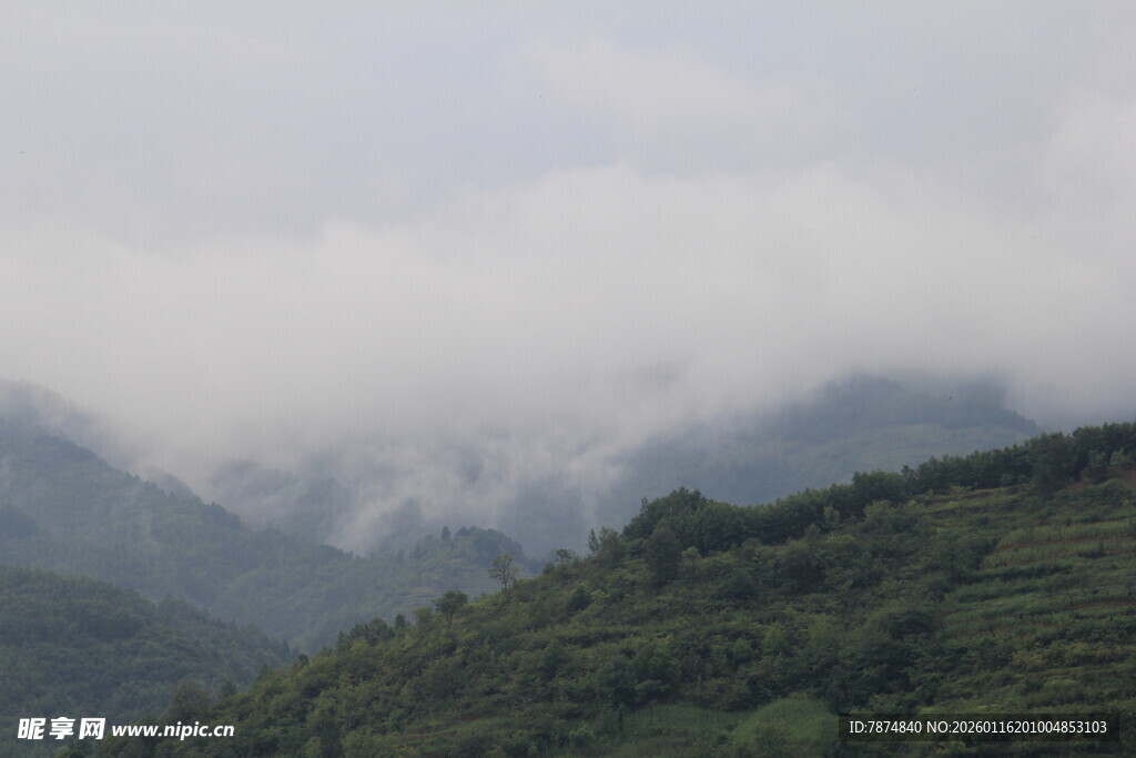 云雾缭绕的青山美景