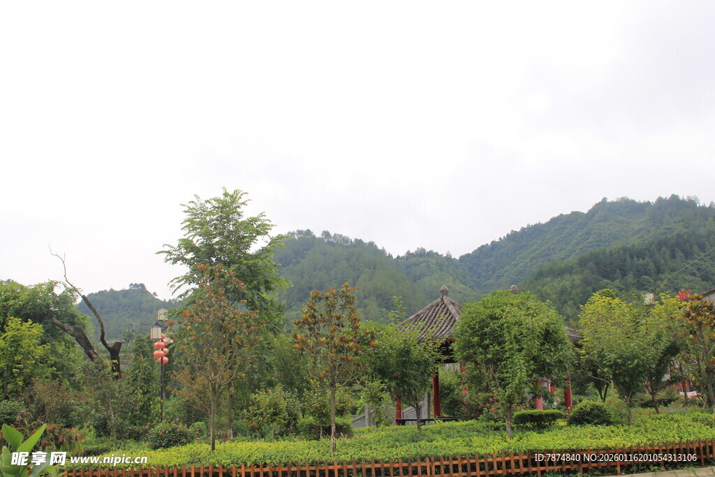 山间多彩田园风光