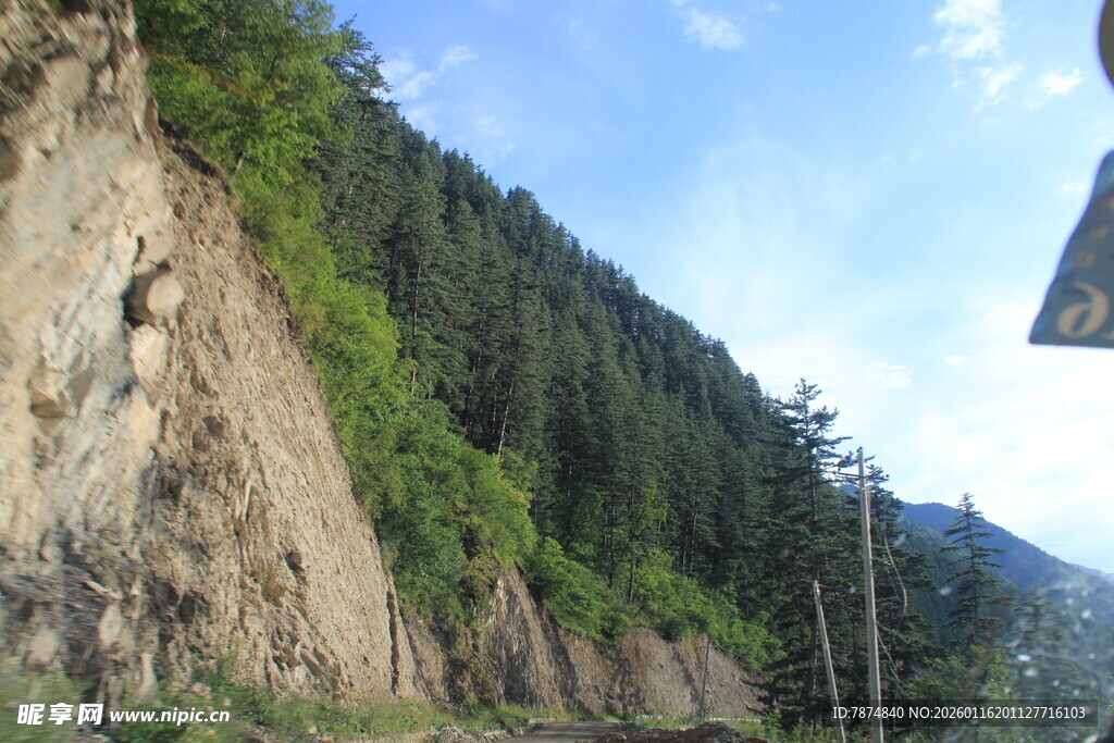 山间陡峭崖壁旁的葱郁林木