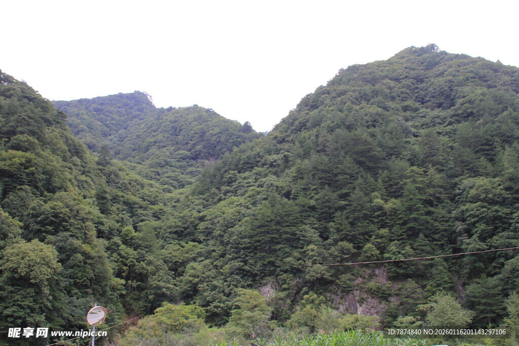 青山葱郁的山间美景