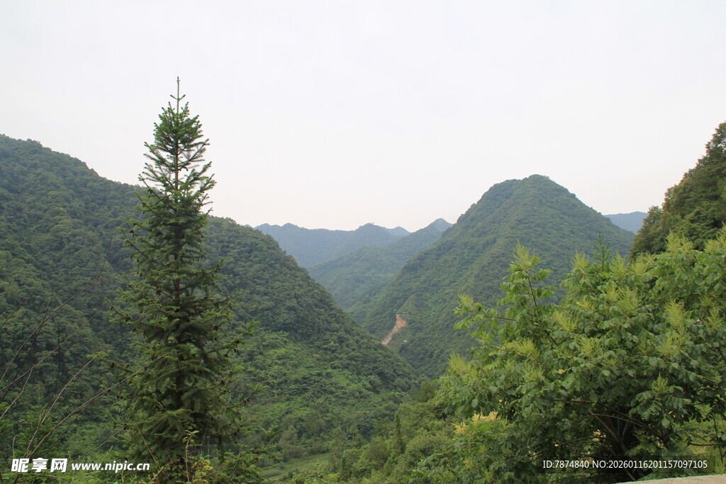 青山绿树间的秀丽山景