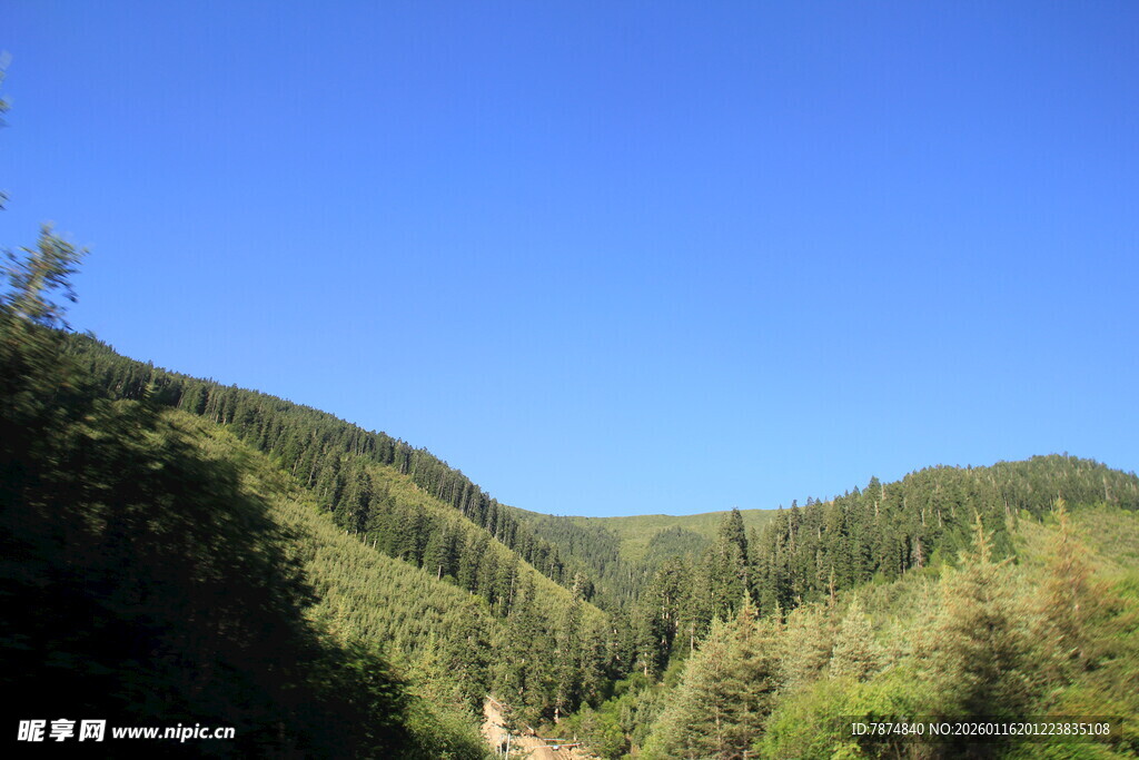 青山蓝天间的葱郁山林
