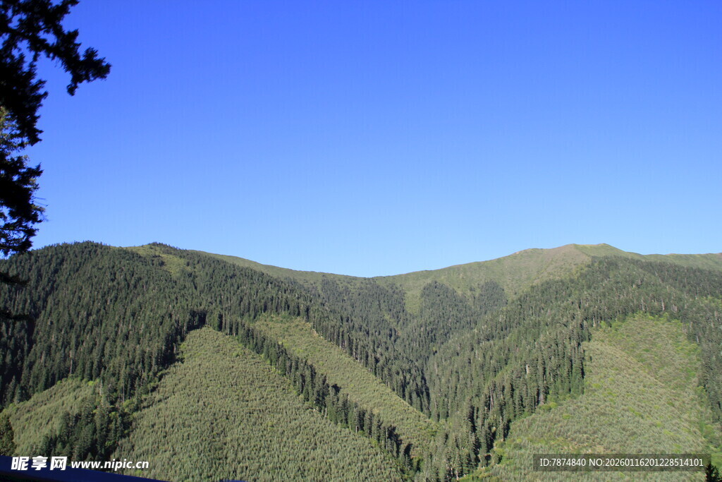 青山蓝天间的秀丽山林