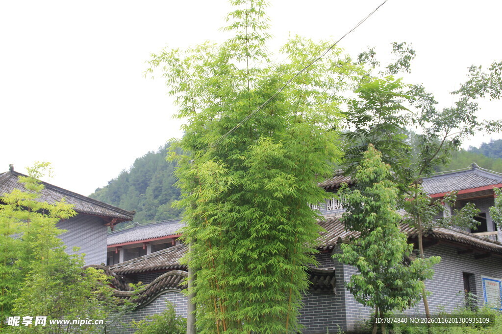 乡村绿意环绕的古朴民居
