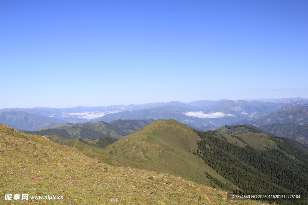 高山美景 蓝天白云映绿野