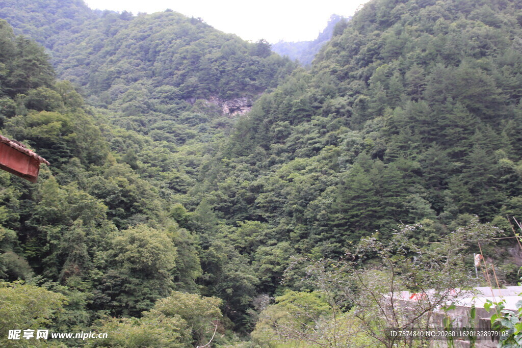 青山葱郁的山间景致