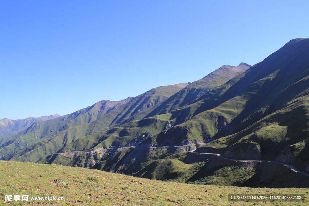 高山草甸风光