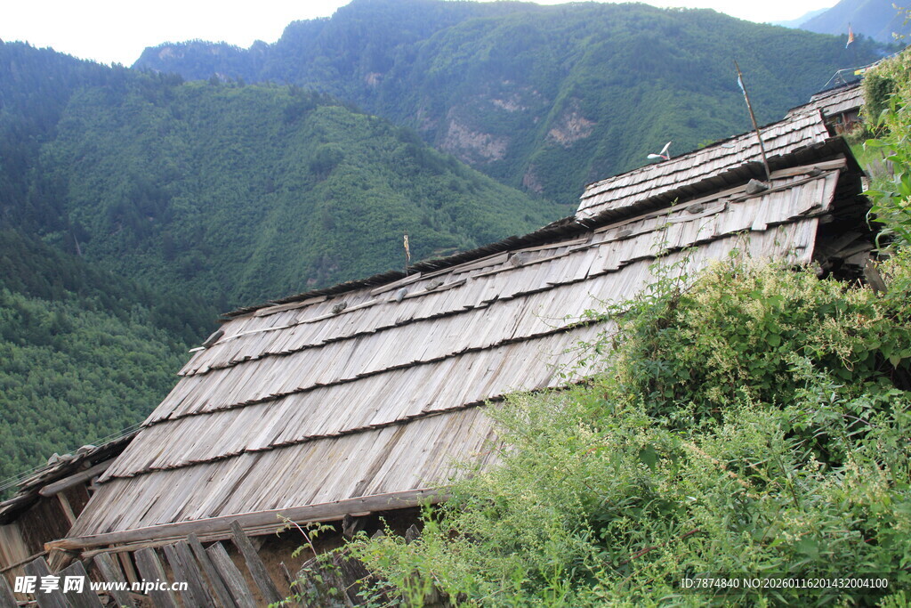 山间木屋隐于葱郁绿意中