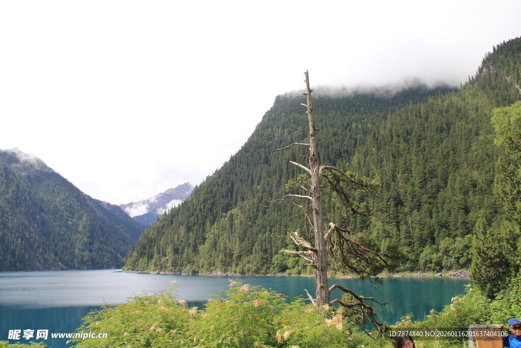 湖畔青山美景