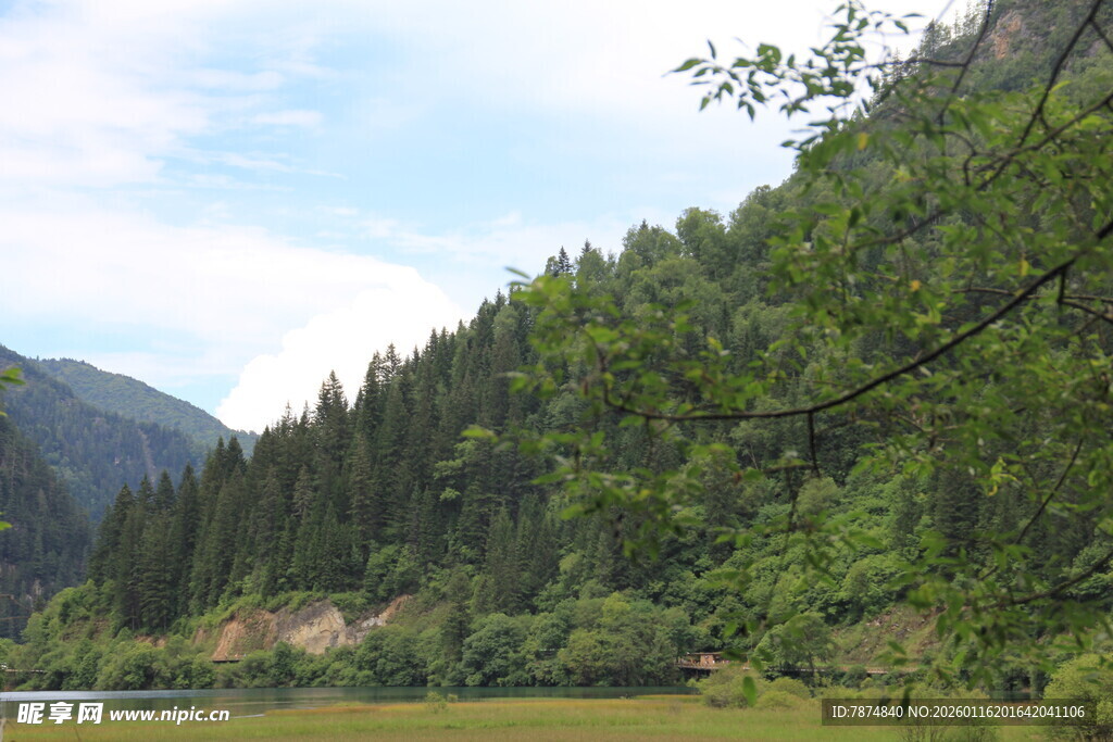 山间葱郁森林与开阔草地