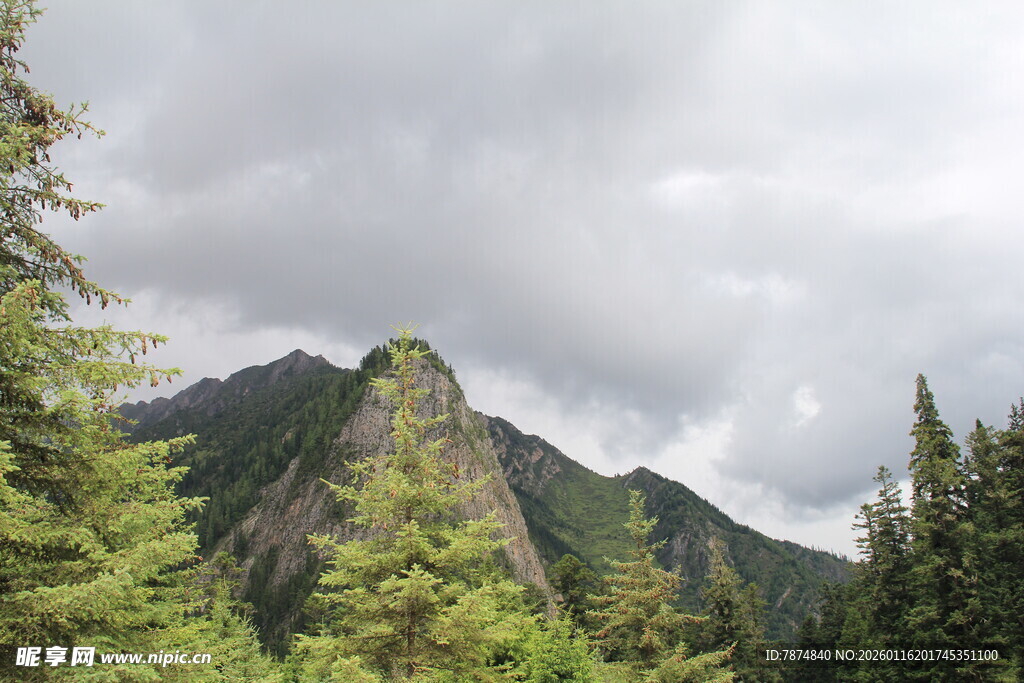 巍峨青山松林环绕