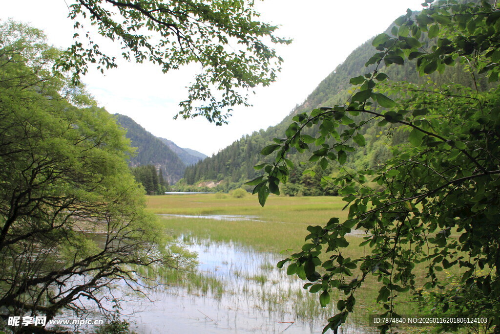 山间湖畔绿意盎然美景