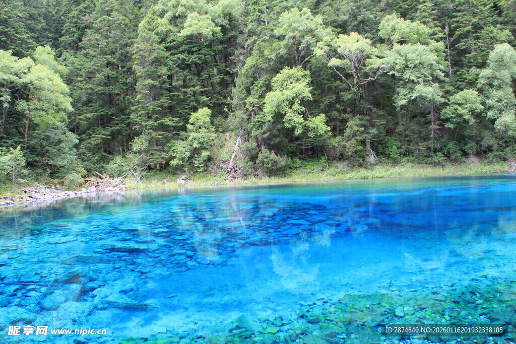 梦幻蓝湖 森林环绕之美景