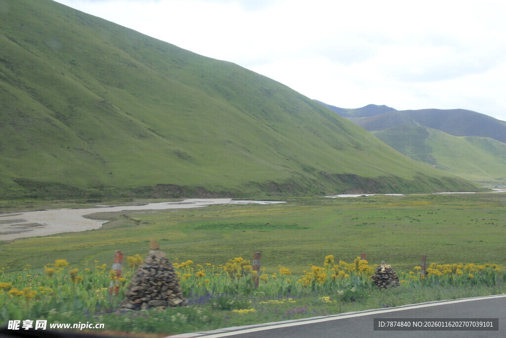 山间公路旁的绚烂花海