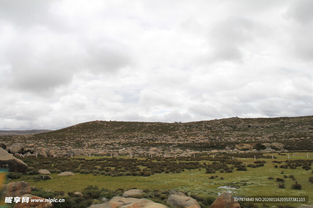 山间草地 云雾缭绕之景