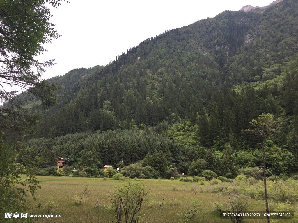 山间绿野风景