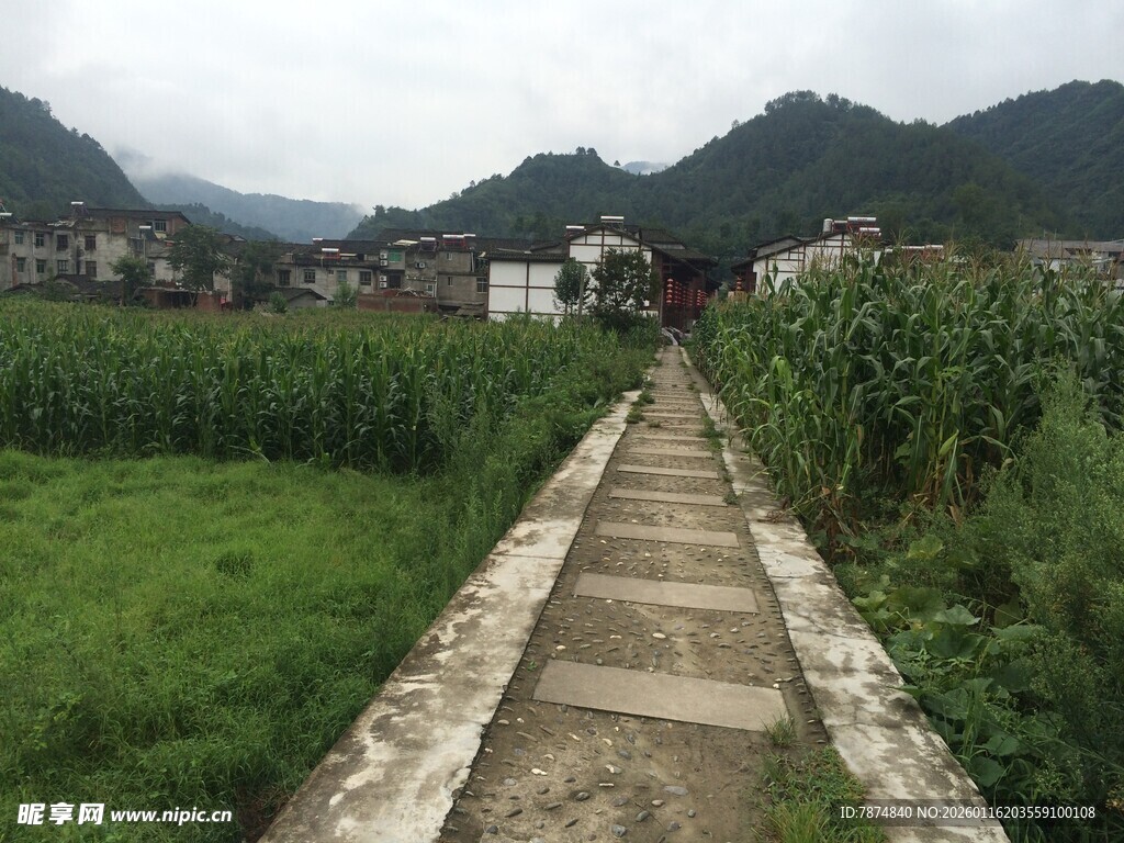 乡间石板小径 田园风光