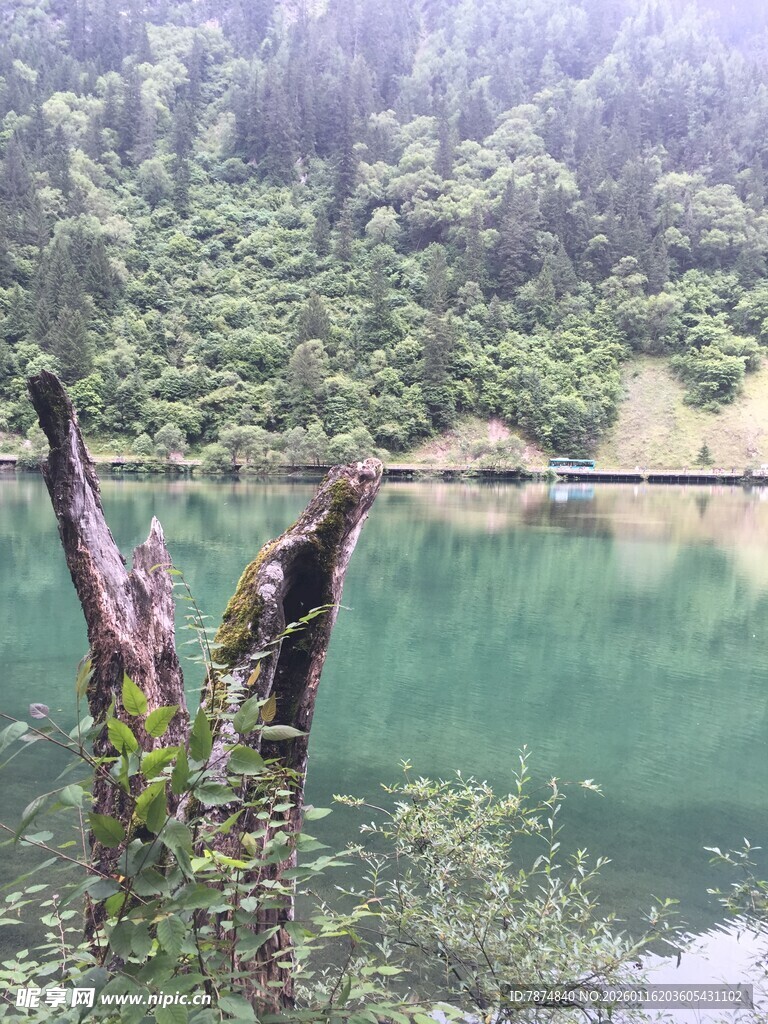 山林间静谧的碧绿湖水