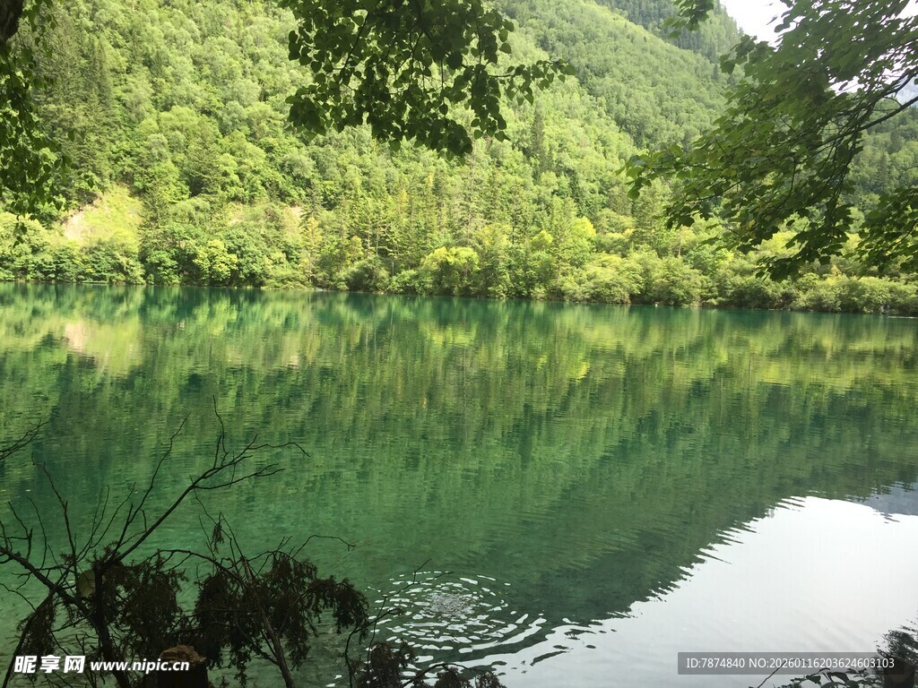 静谧绿湖 山林倒影如画