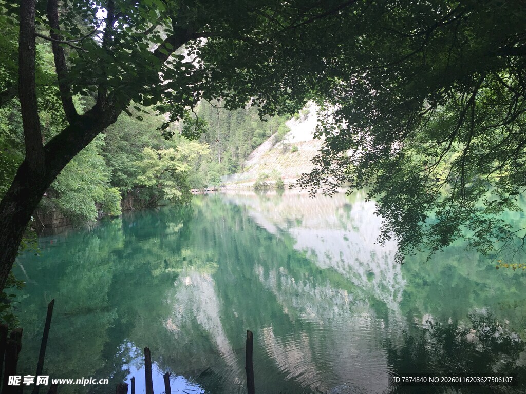 林间碧潭美景