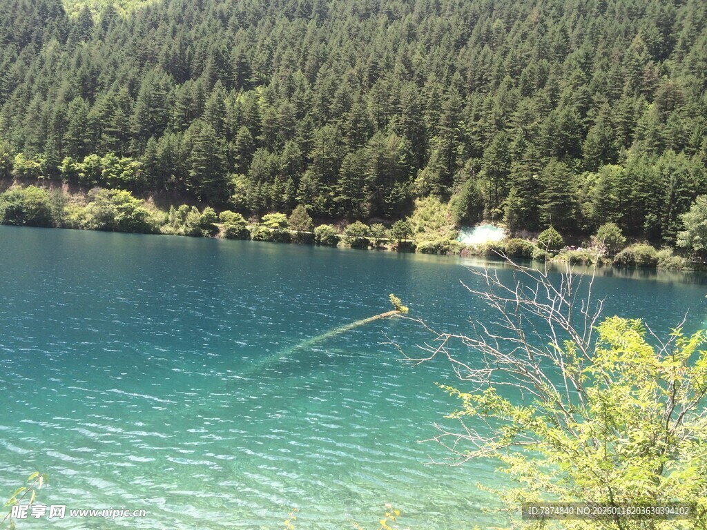 美丽湖畔风光