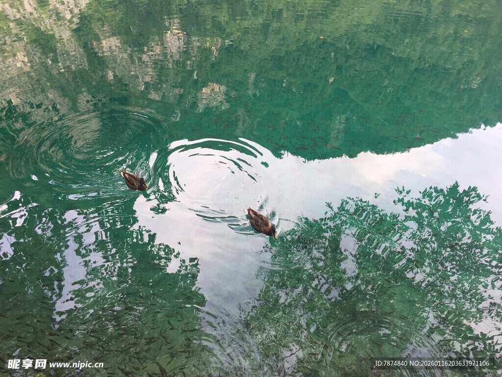 青山绿水间的竹筏漂流