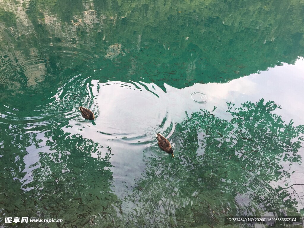 水中倒影与波纹的自然美