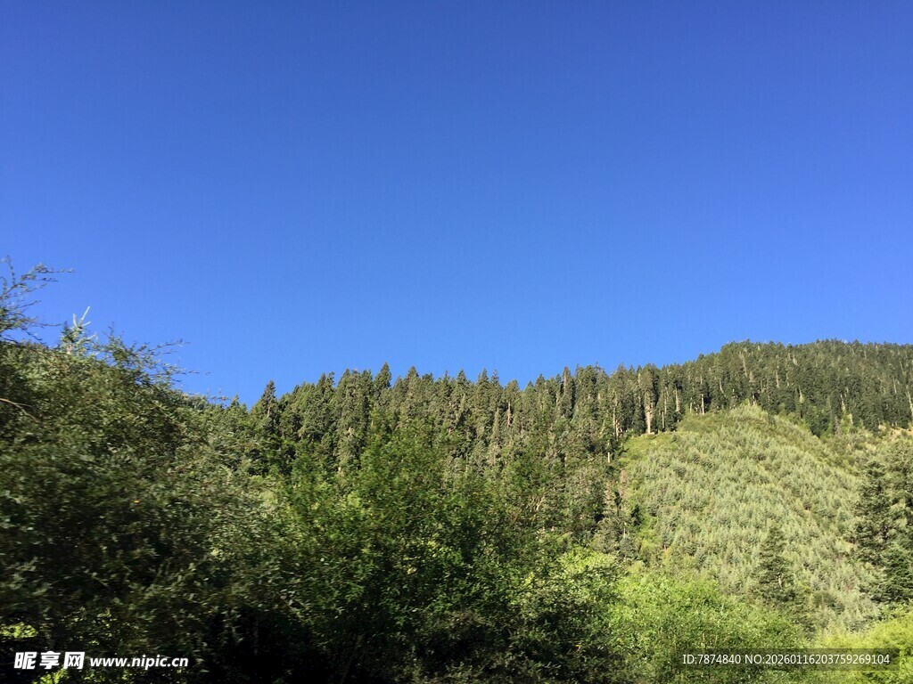 青山绿树蓝天自然美景