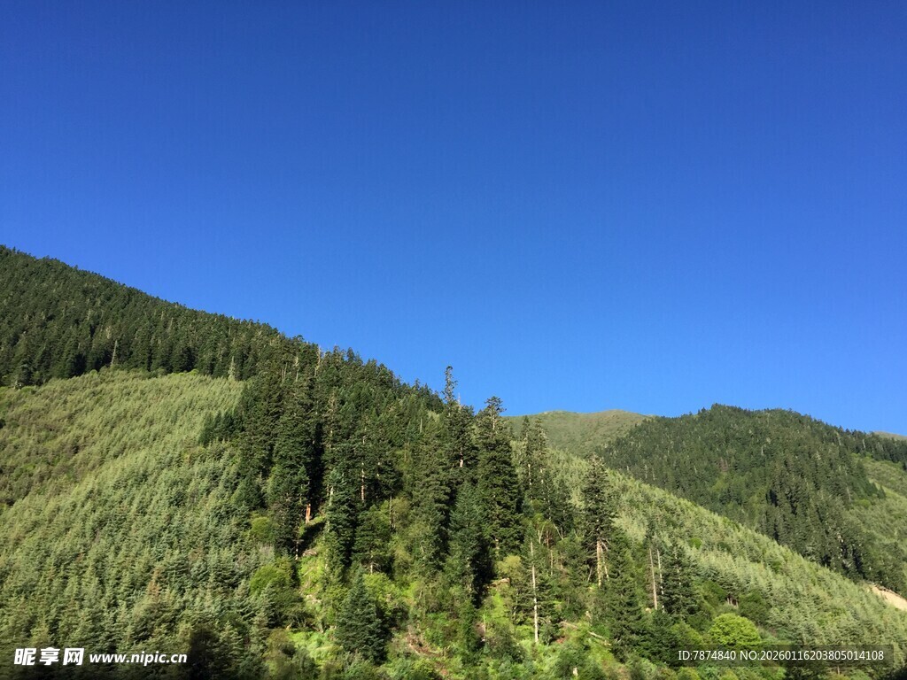 青山绿树间的蓝天美景