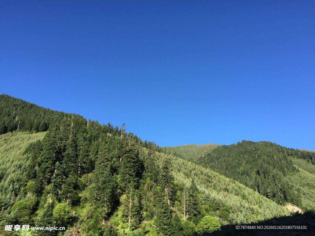 青山蓝天间的葱郁山林