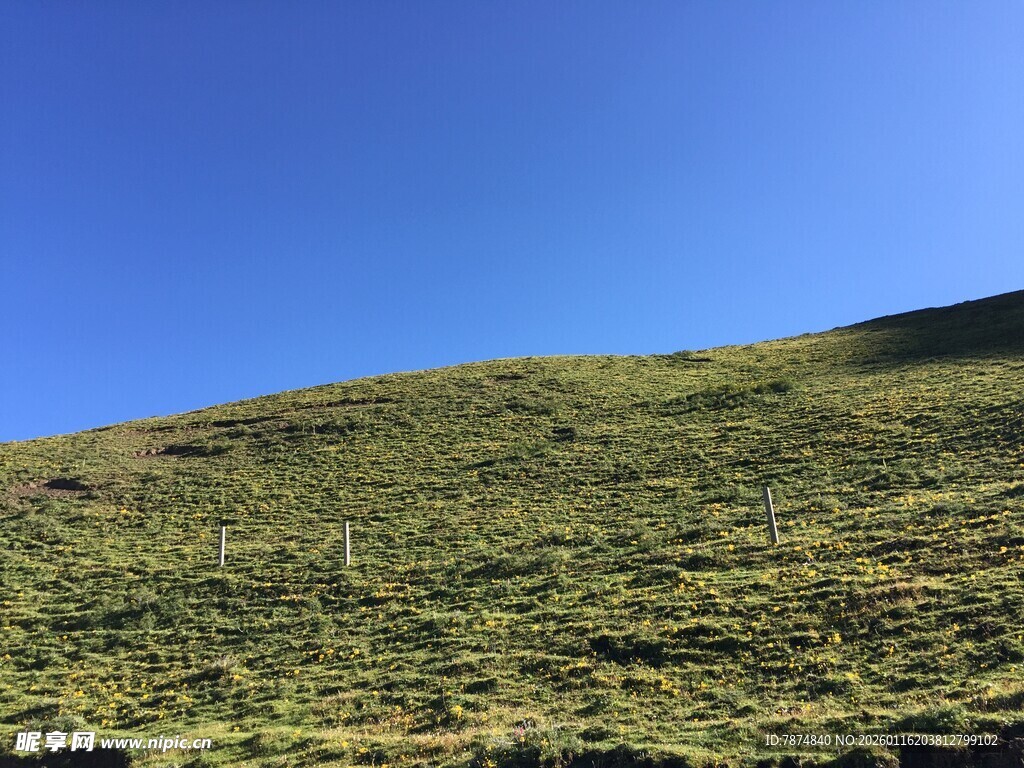 蓝天映衬下的翠绿山坡