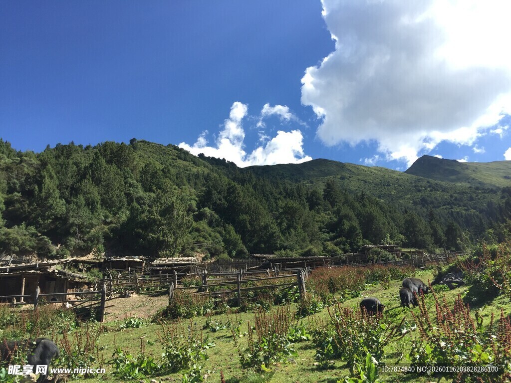 山间村落美景
