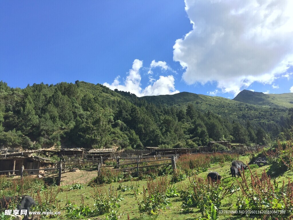 山间村落美景
