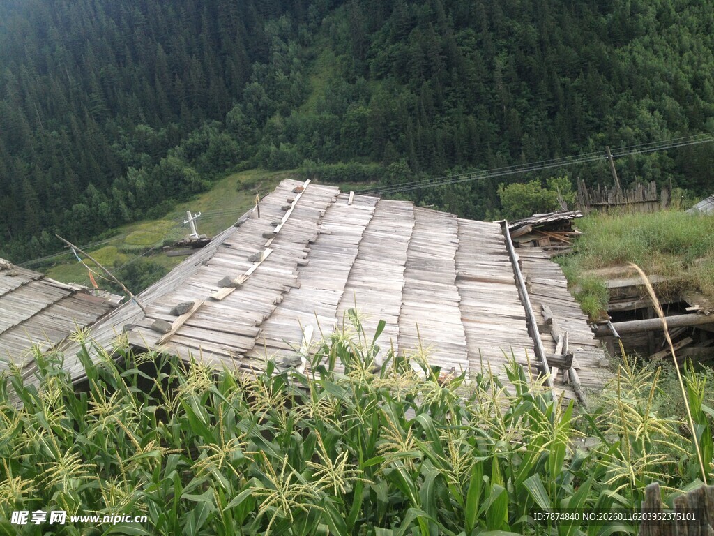 山间老旧屋顶 绿植环绕
