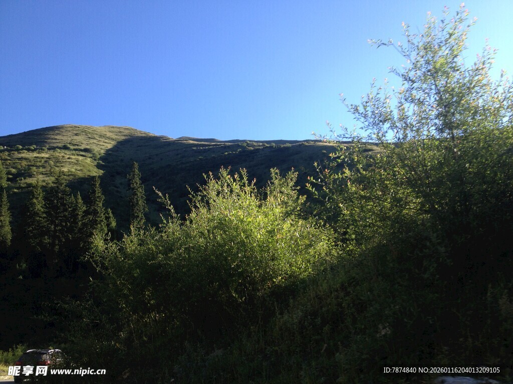 山间葱郁植被 蓝天背景