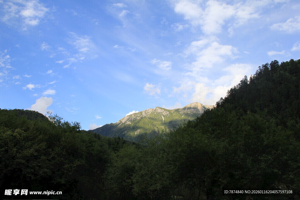 山间蓝天绿树美景