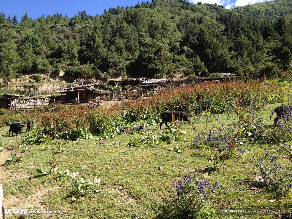 山间草地与远处建筑景观