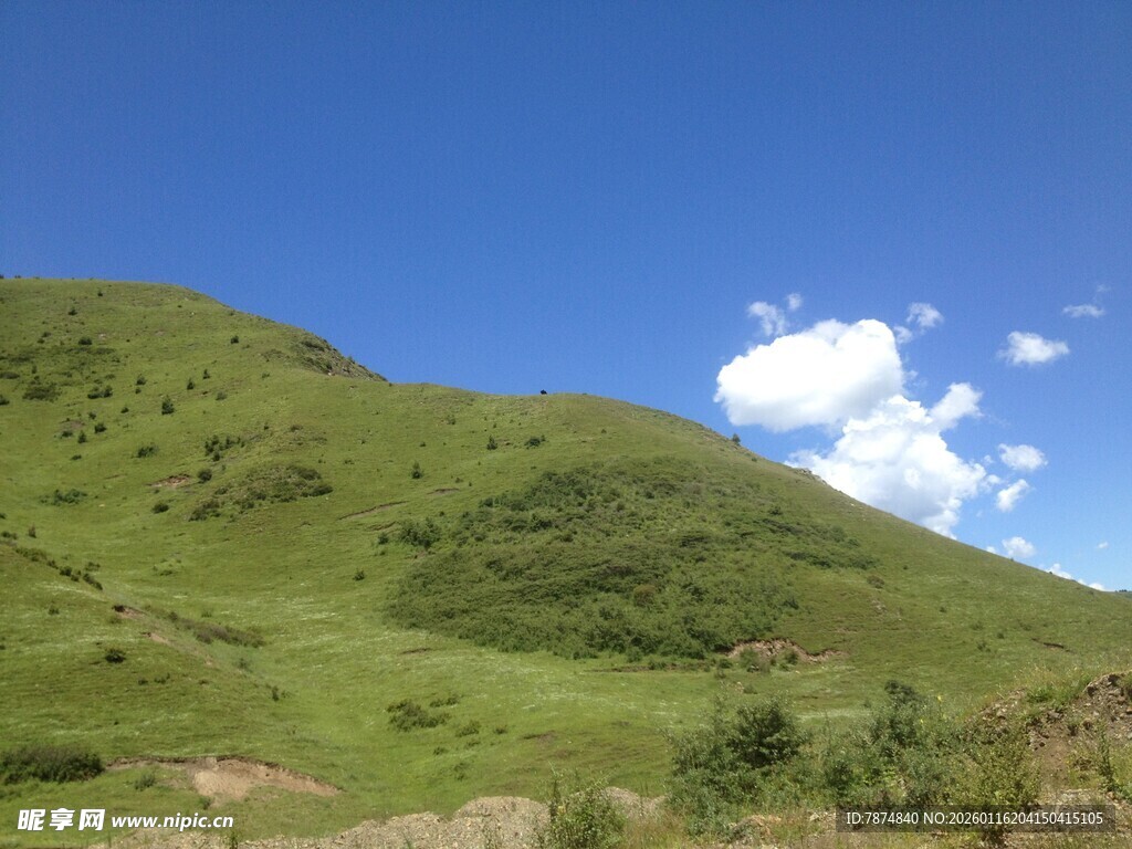 翠绿山坡与蓝天美景