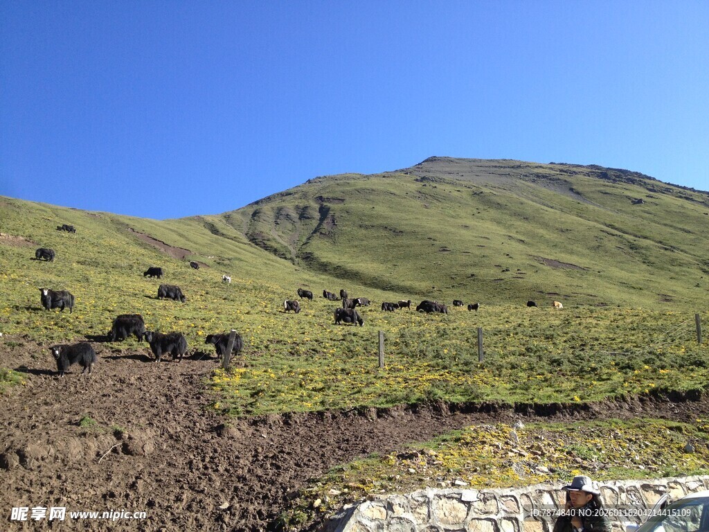 青山绿野间的自然景致