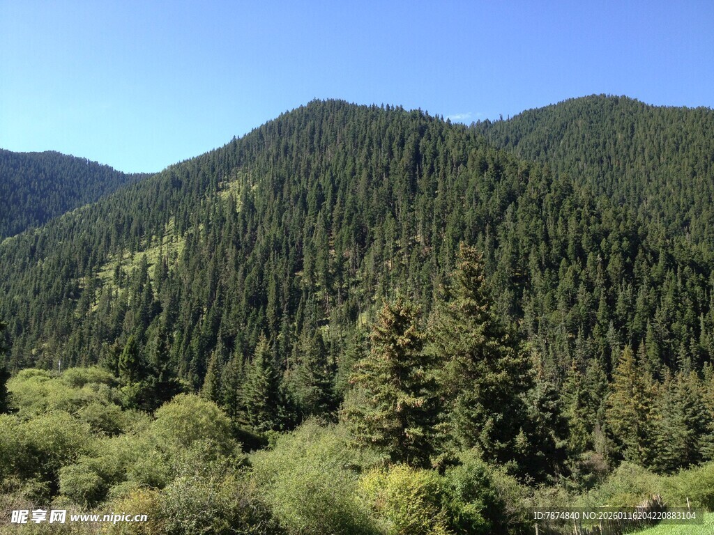山林葱郁的自然美景