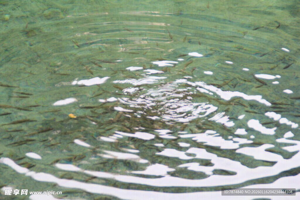 水面涟漪 自然灵动之美