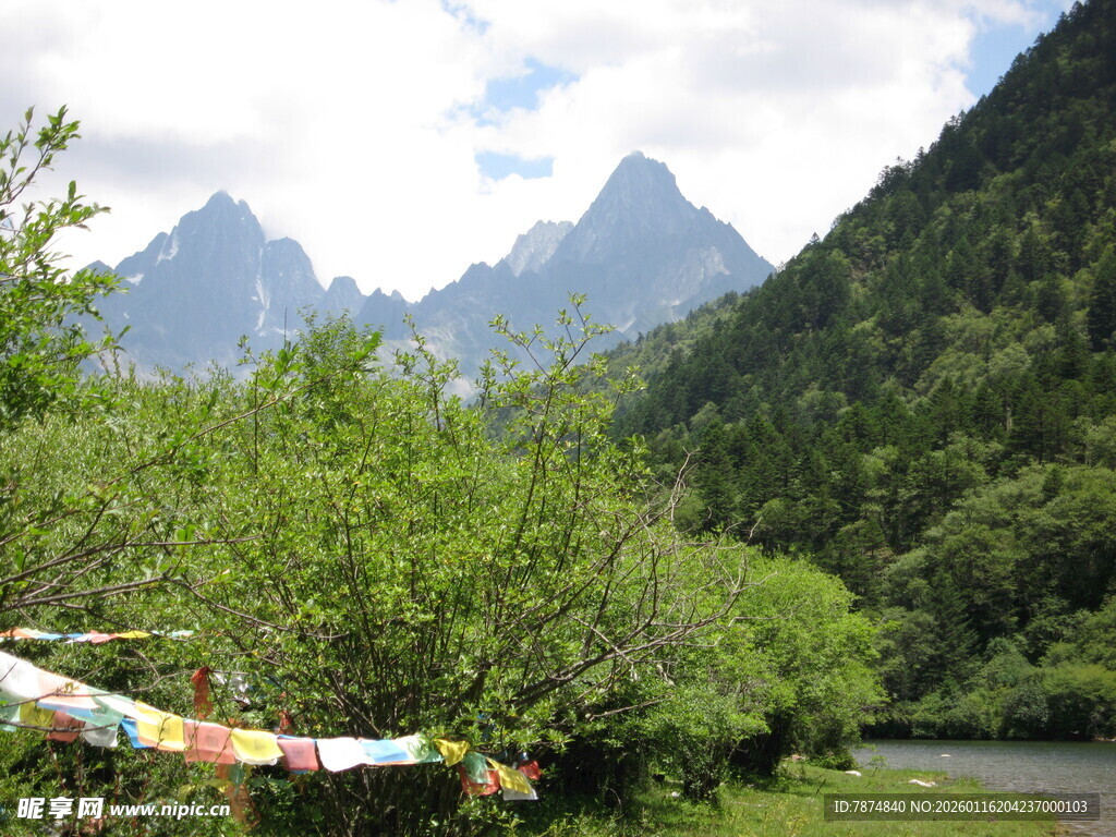 山间经幡与葱郁山林美景