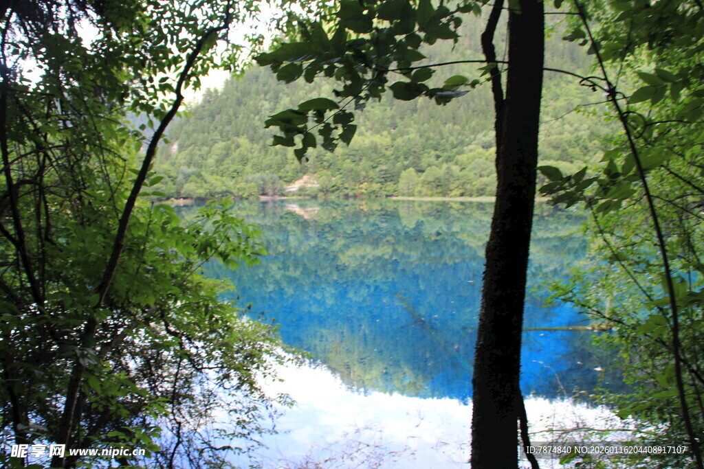 林间湖畔美景