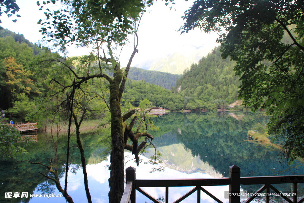 湖畔山林美景