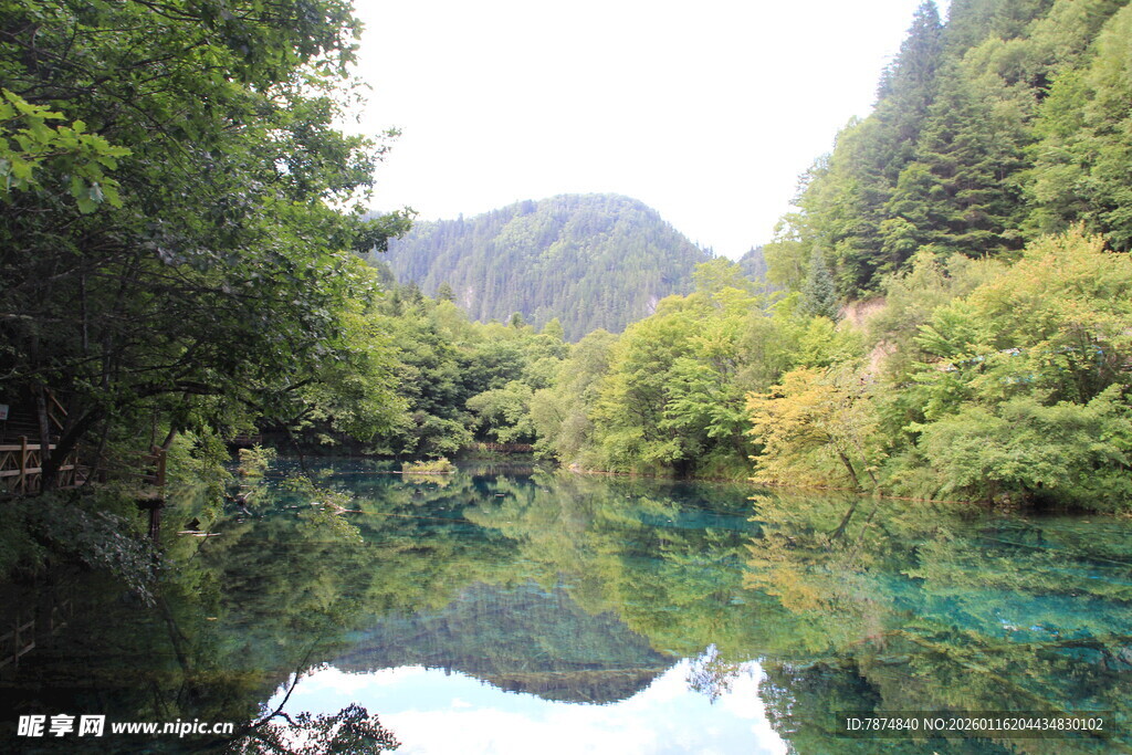 青山绿水间的澄澈溪流