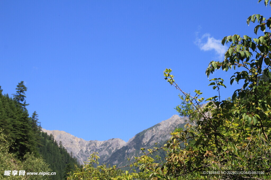 山间美景 蓝天绿树与远山
