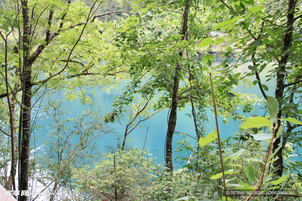 林间蓝湖美景