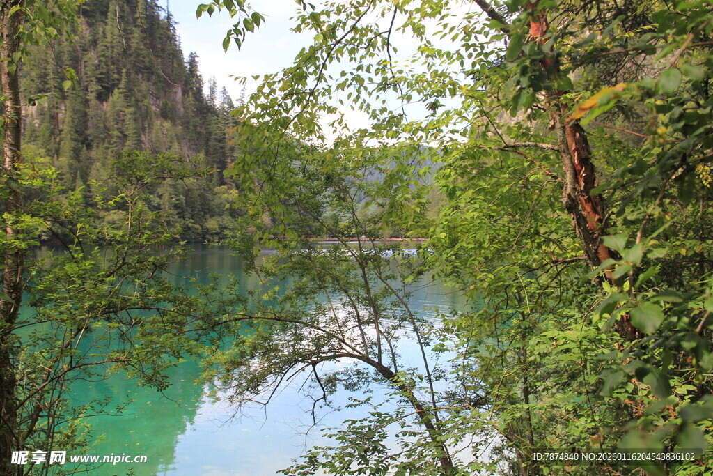 山间碧湖 绿意环绕之景