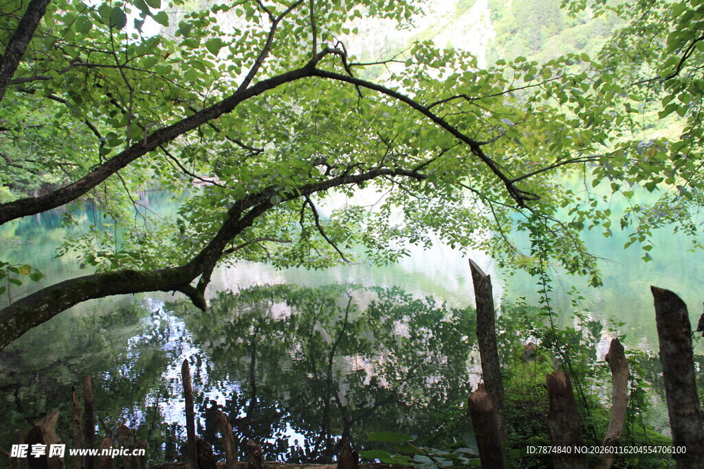 林间湖畔风景